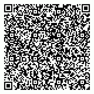 vCard 79080039199