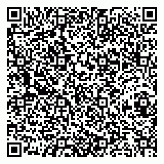 vCard 79080039201
