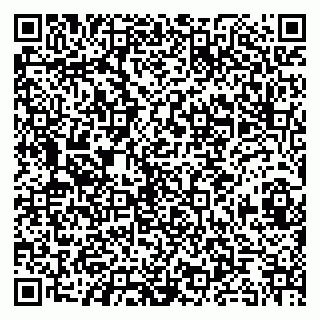 vCard 79080039203