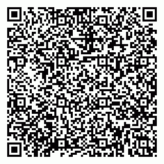 vCard 79080039210