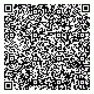 vCard 79080042533