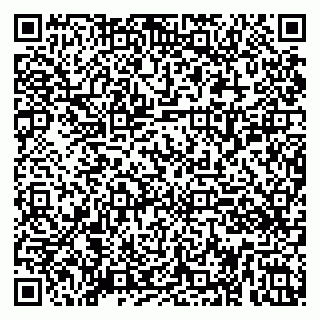 vCard 79080053331