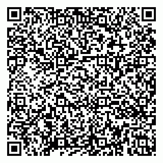 vCard 79080053341