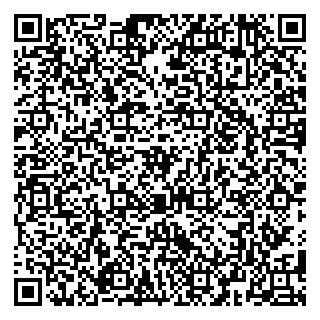 vCard 79080053381