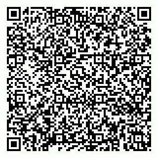 vCard 79080053390