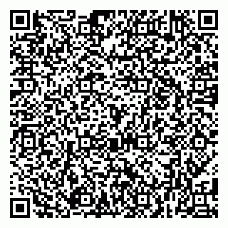 vCard 79080053413