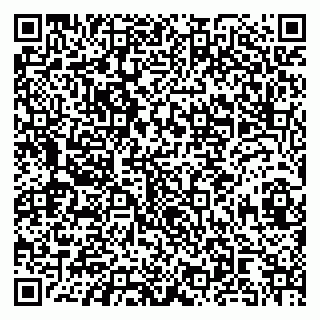 vCard 79080060651