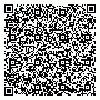 vCard 79080073568