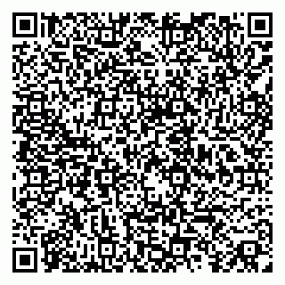 vCard 79080095581
