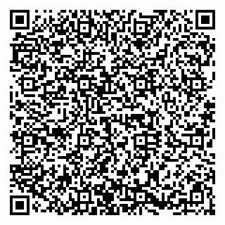 vCard 79080098013
