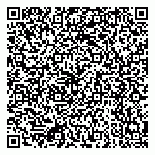 vCard 79080770973