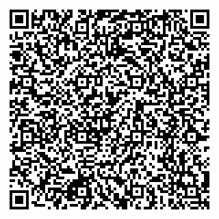 vCard 79080770987