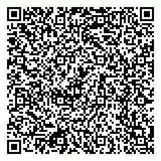 vCard 79080771000