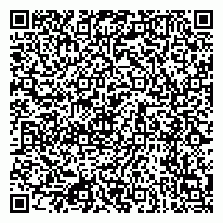 vCard 79080771013