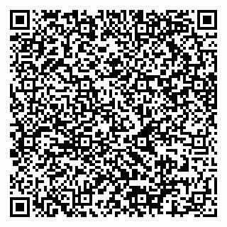 vCard 79080771019