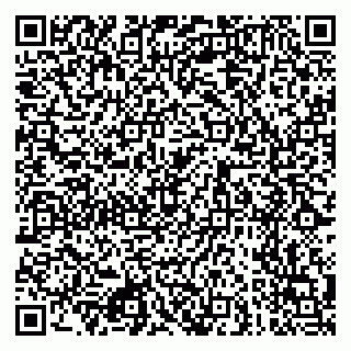 vCard 79080771027