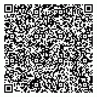 vCard 79080771029
