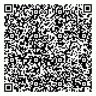vCard 79080771031