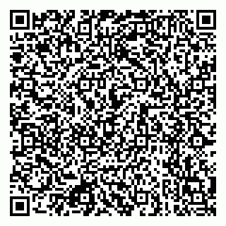 vCard 79080771033