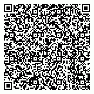 vCard 79080771037