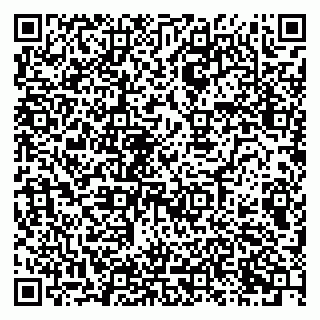 vCard 79080771038