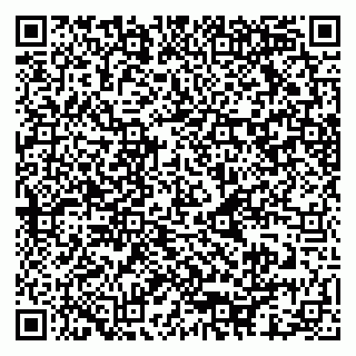 vCard 79080771042
