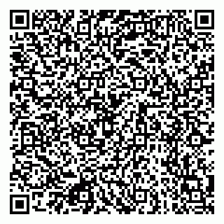 vCard 79080771061