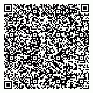 vCard 79080771075