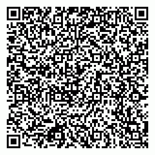 vCard 79080771090