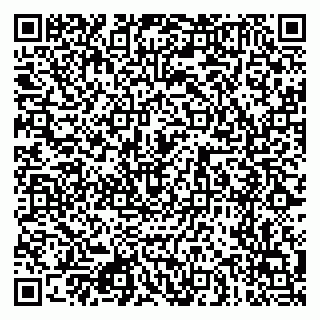 vCard 79080771097