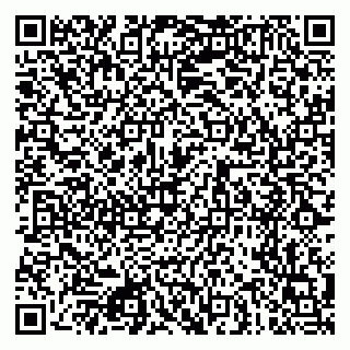 vCard 79080771099