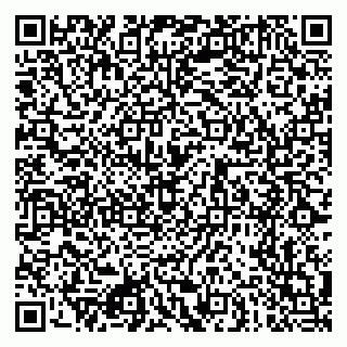 vCard 79080771100