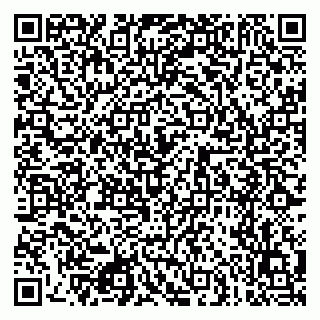 vCard 79080771253