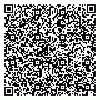 vCard 79080771273