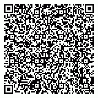 vCard 79080771291
