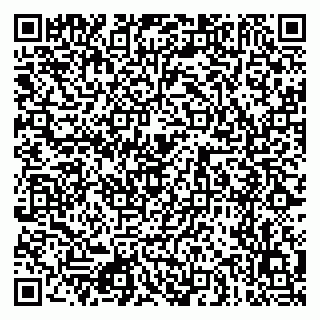 vCard 79080771293