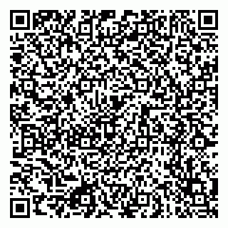 vCard 79080771294