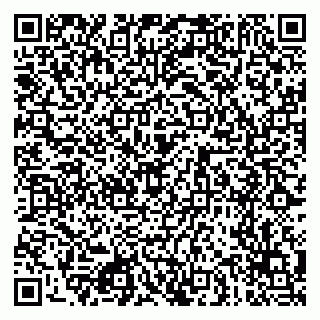 vCard 79080771296