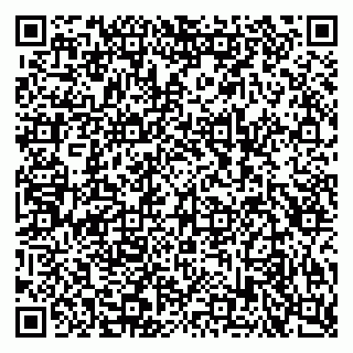 vCard 79080771297