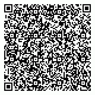 vCard 79080771300