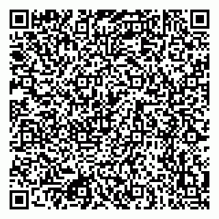 vCard 79080771301