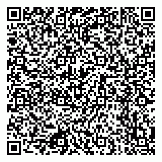 vCard 79080771302