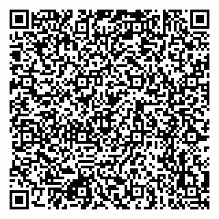 vCard 79080771311