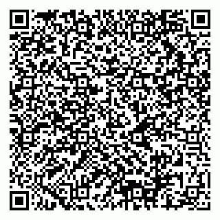 vCard 79080818331