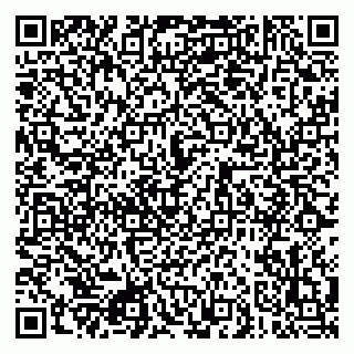 vCard 79080820331