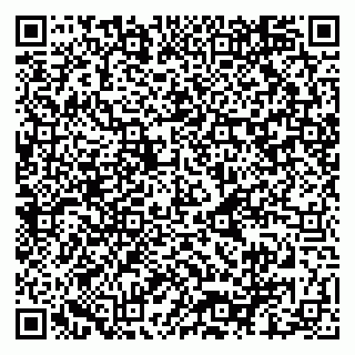 vCard 79080850318
