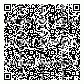 vCard 79080850333