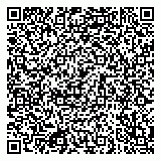 vCard 79080850334