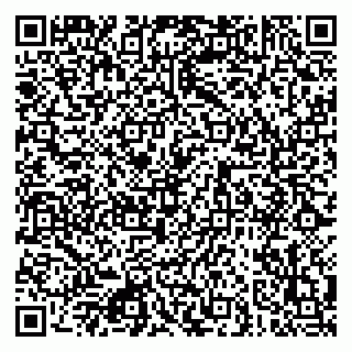 vCard 79080850339