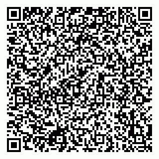 vCard 79080850369